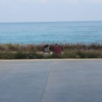 IMG_2797